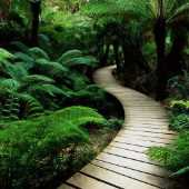 Chandra Nikitha Valluri